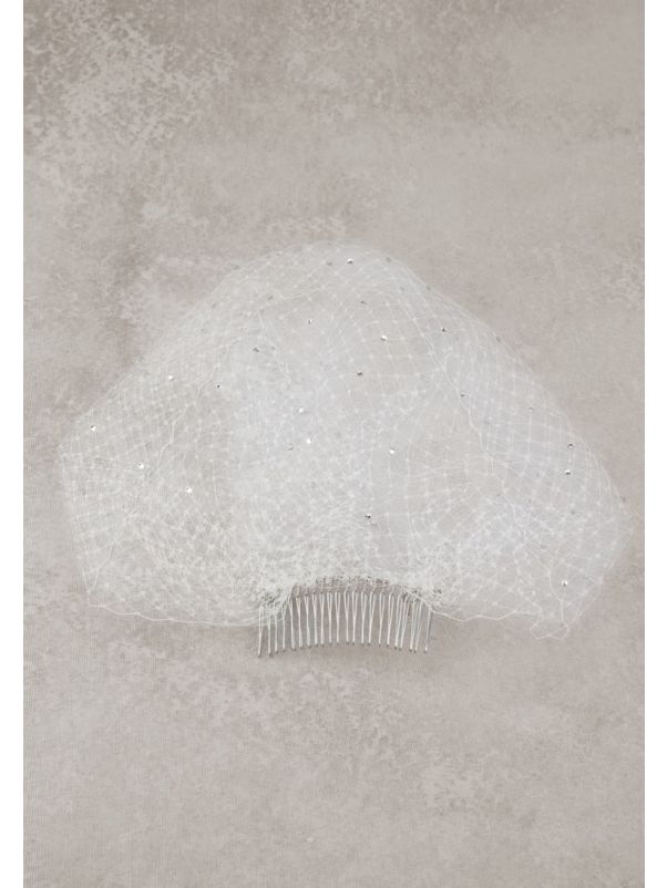 Birdcage Veil