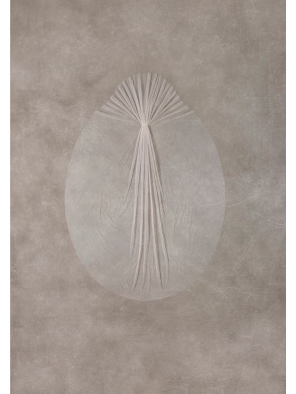 Wedding Veil